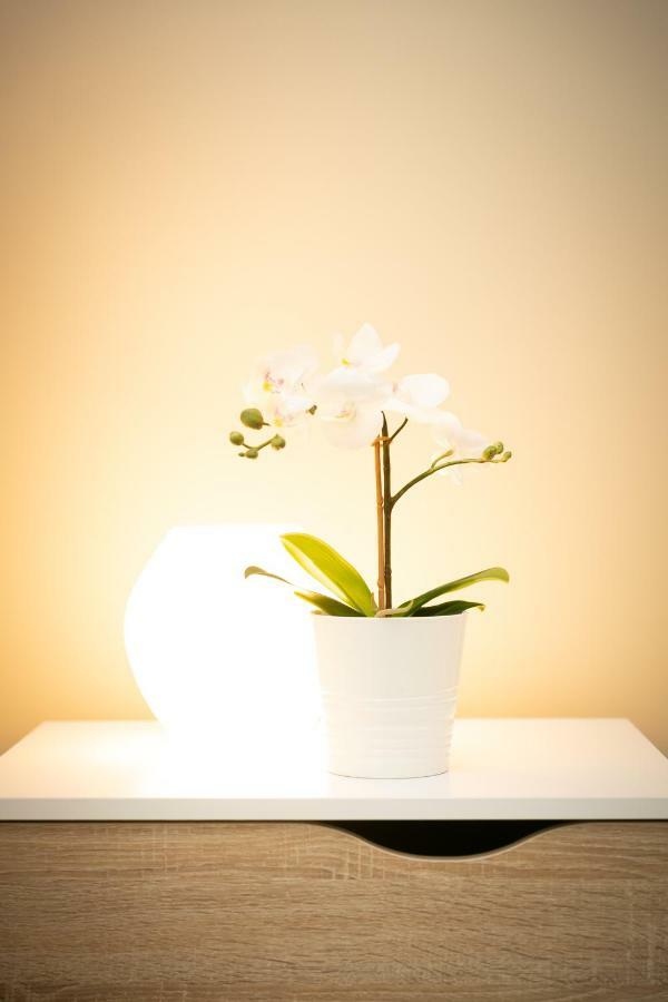 St.Peter White House Apartment Rome Bagian luar foto